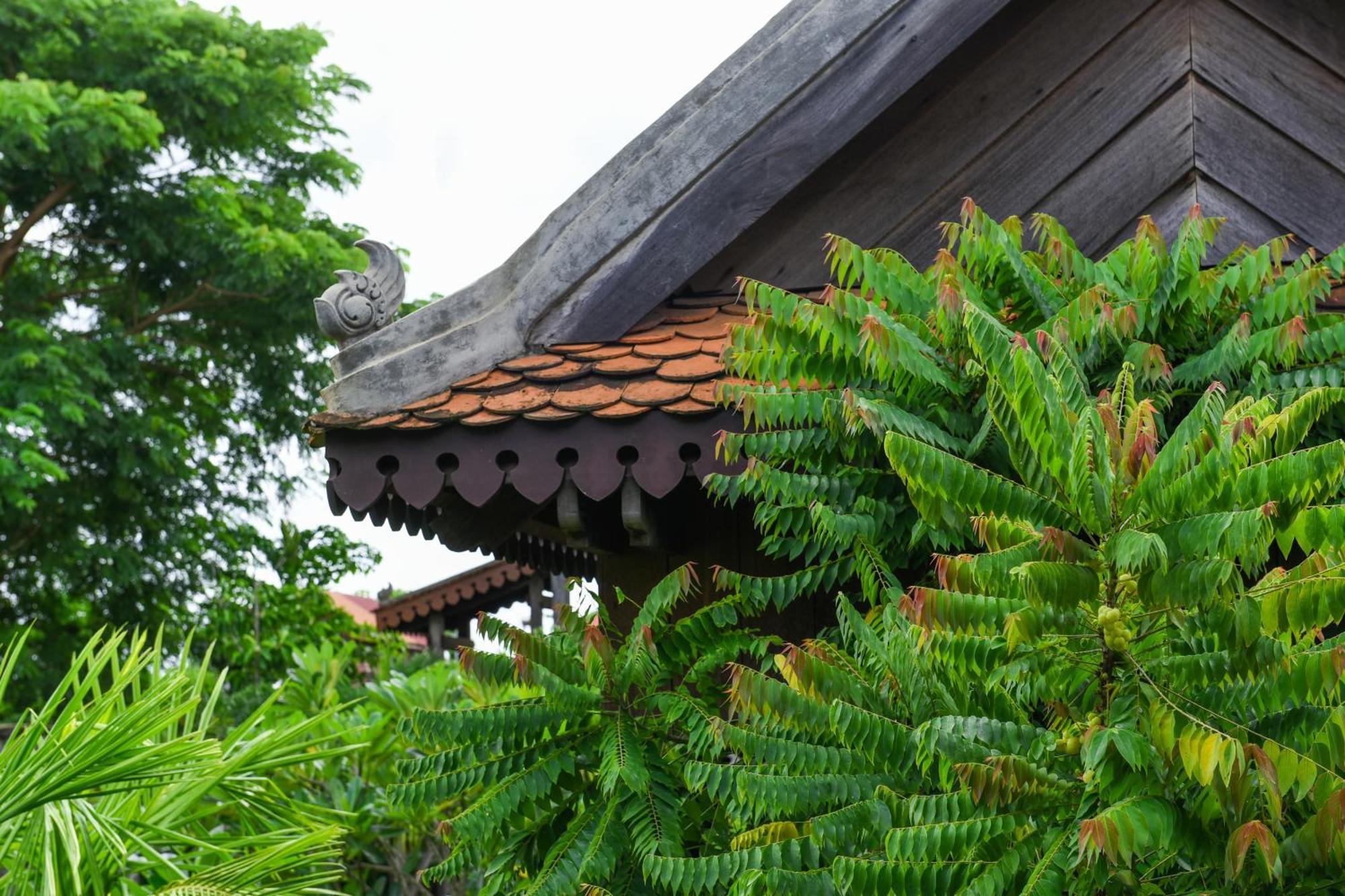 Phum Khmer Lodge - Village Cambodian Eco-Lodge سيام ريب المظهر الخارجي الصورة
